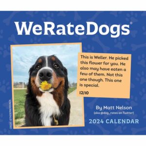 We Rate Dogs Desk Calendar 2024