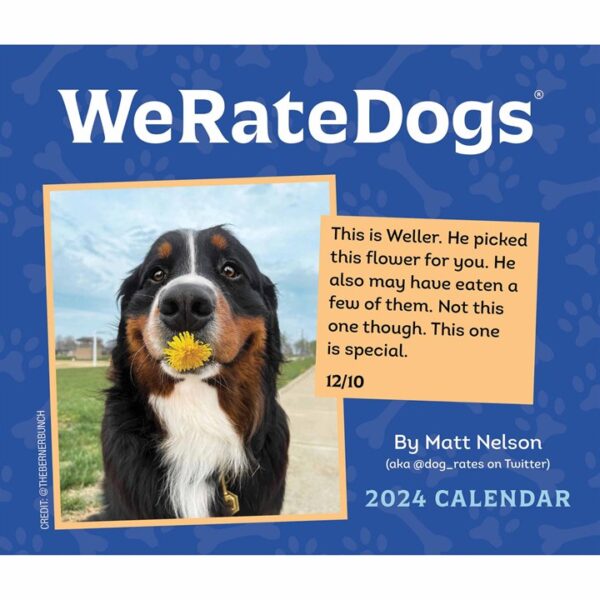 We Rate Dogs Desk Calendar 2024