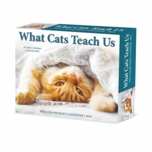 What Cats Teach Us Desk Calendar 2024