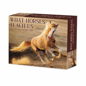 What Horses Teach Us Desk Calendar 2024