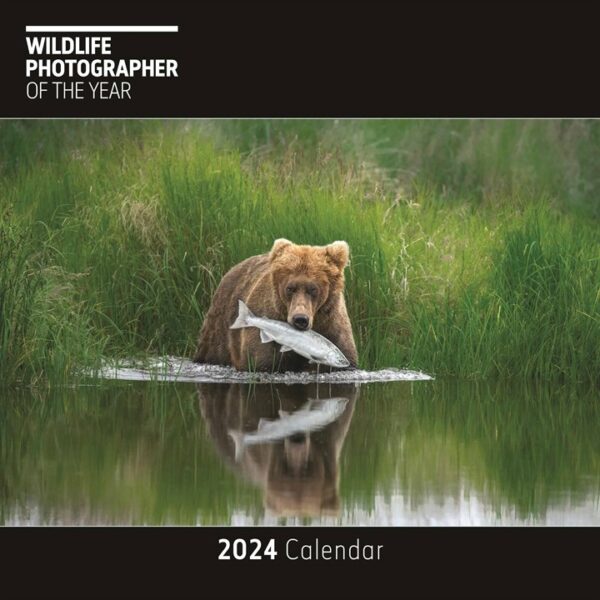 Wildlife Photographer Of The Year Calendar 2024