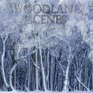 Woodland Calendar 2024