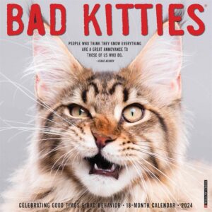 Bad Kitties Calendar 2024