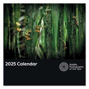 Wildlife Photographer Of The Year Calendar 2025